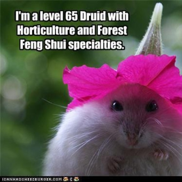 Meet your Posher, Rebecca - Picture 1 of 1